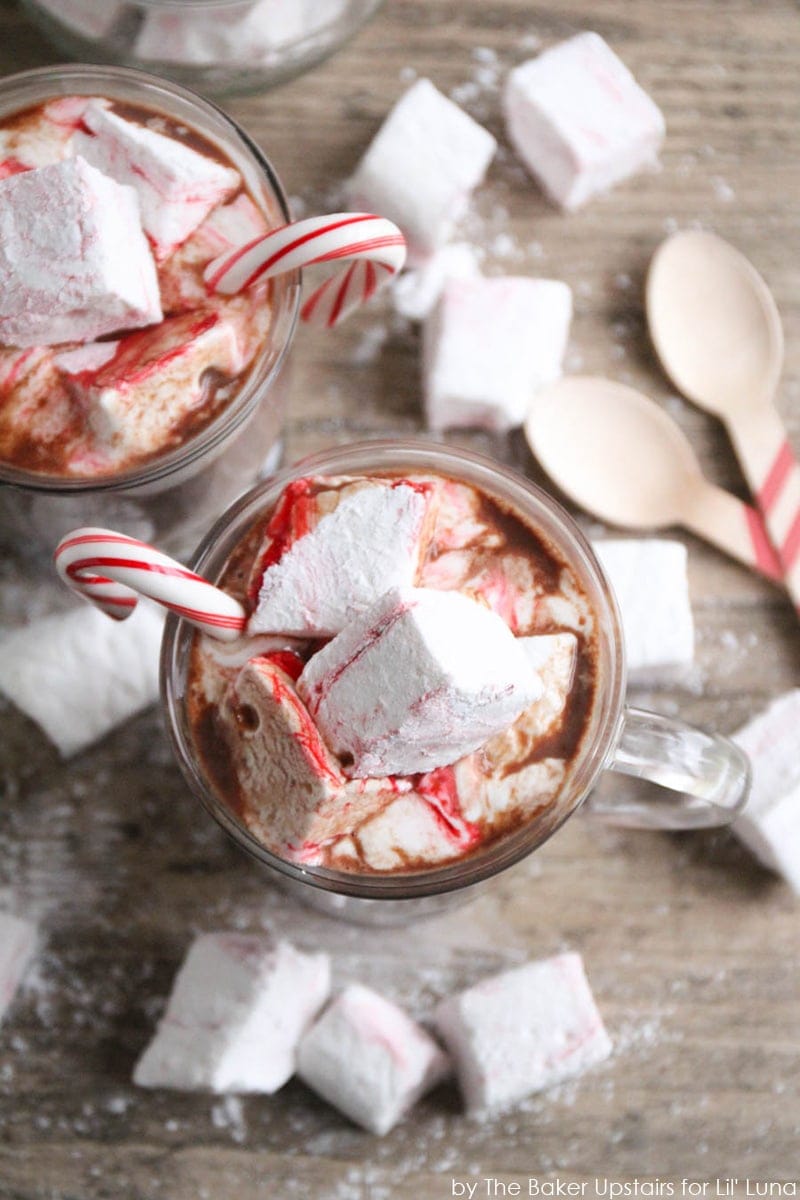 Peppermint swirl marshmallows served in hot cocoa