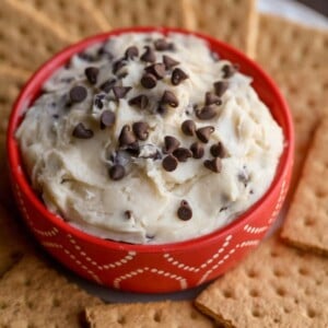 chocolate chip dip in bowl