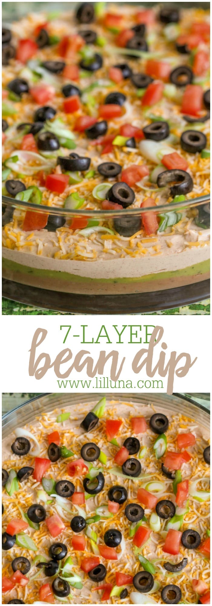 BEST 7 Layer Bean Dip Lil' Luna