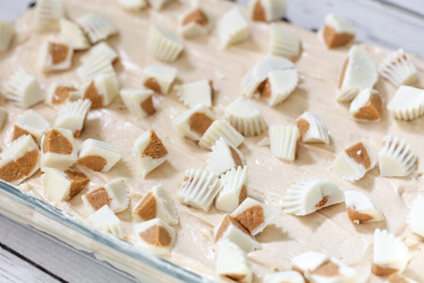 {Layered} Oreo Peanut Butter Delight Recipe Lil' Luna