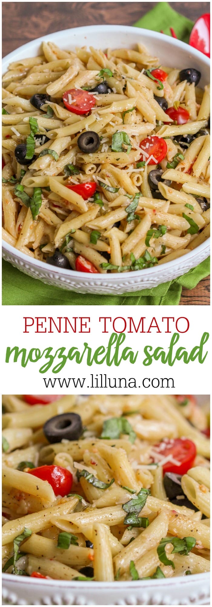 Penne, Tomato and Mozzarella Salad - Lil' Luna