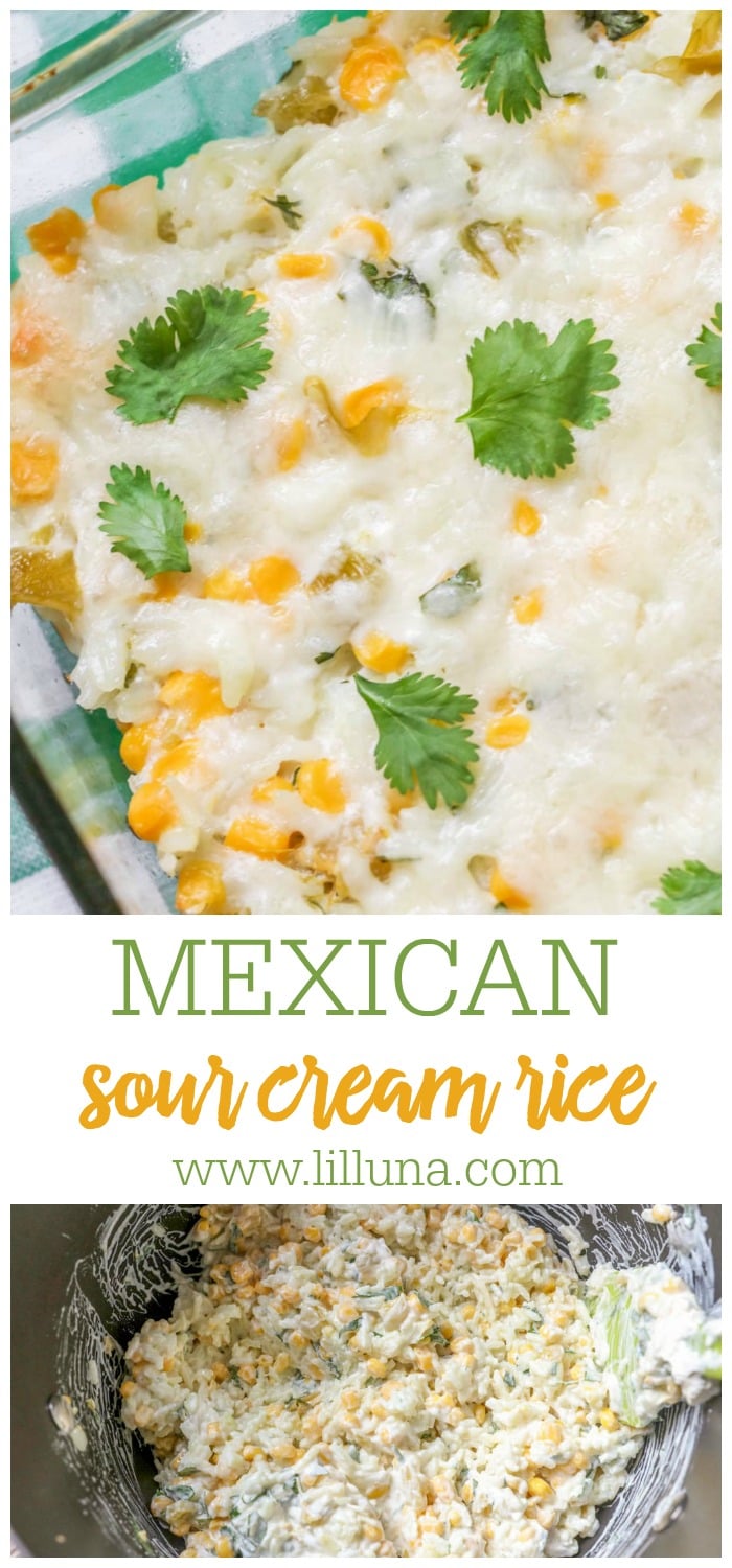 Mexican Sour Cream Rice Recipe | Lil' Luna