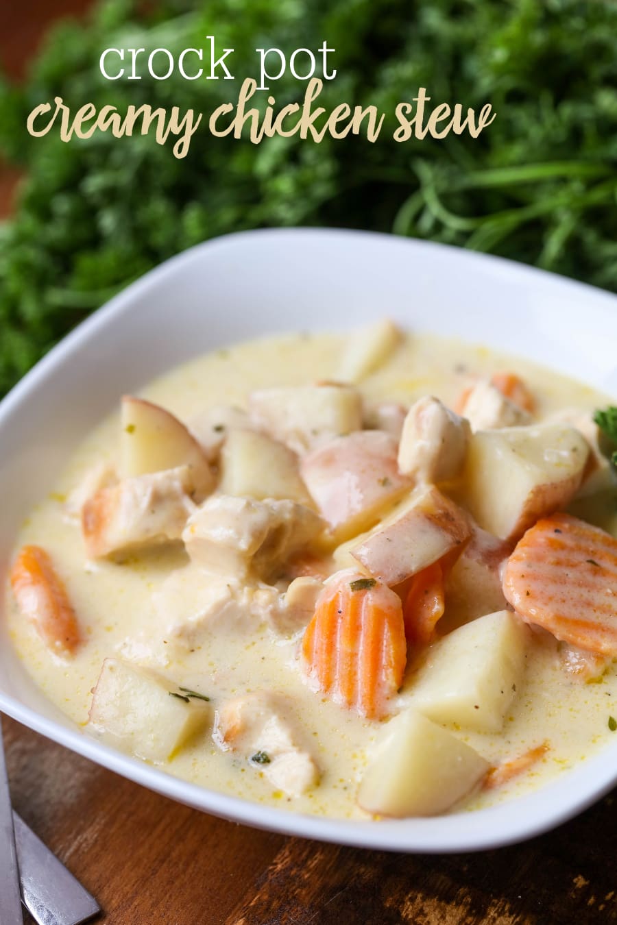 Creamy Crock Pot Chicken Stew Recipe | Lil' Luna