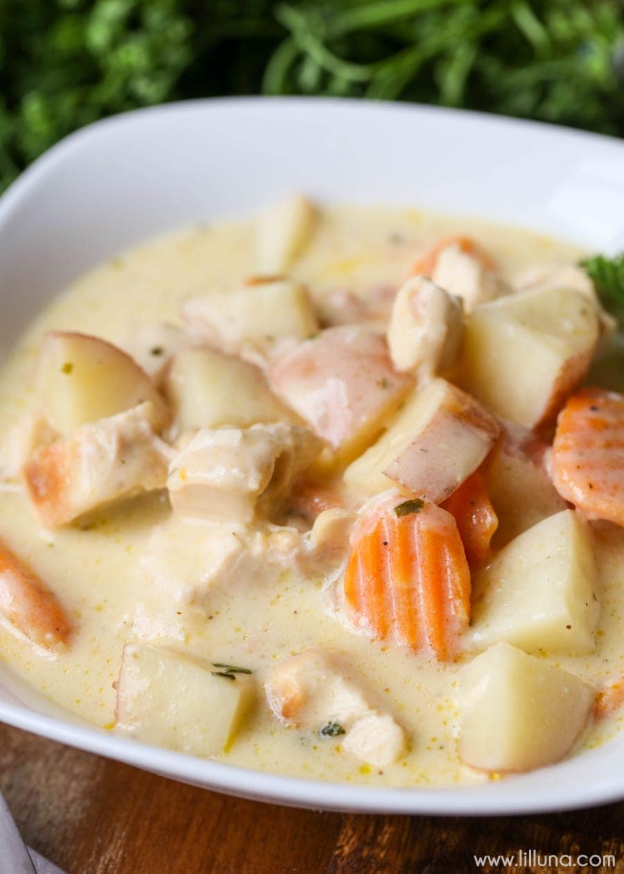 Creamy Chicken Stew Recipe