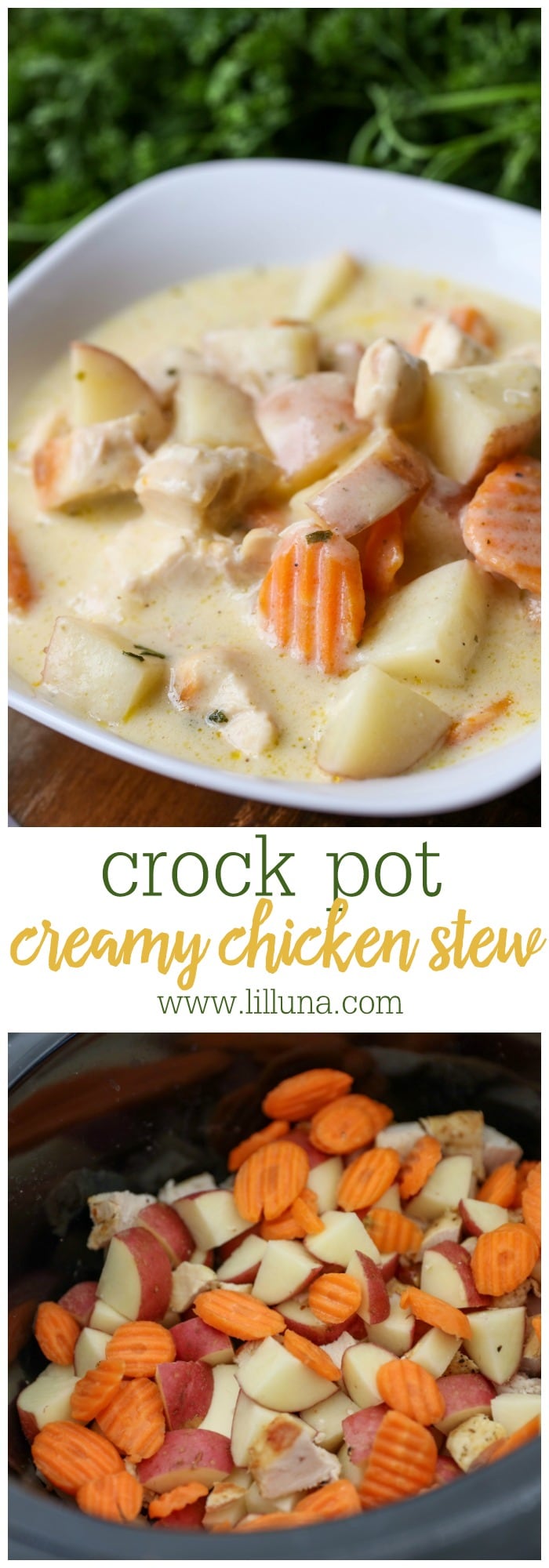 What is a simple recipe for Crock-Pot chicken stew?