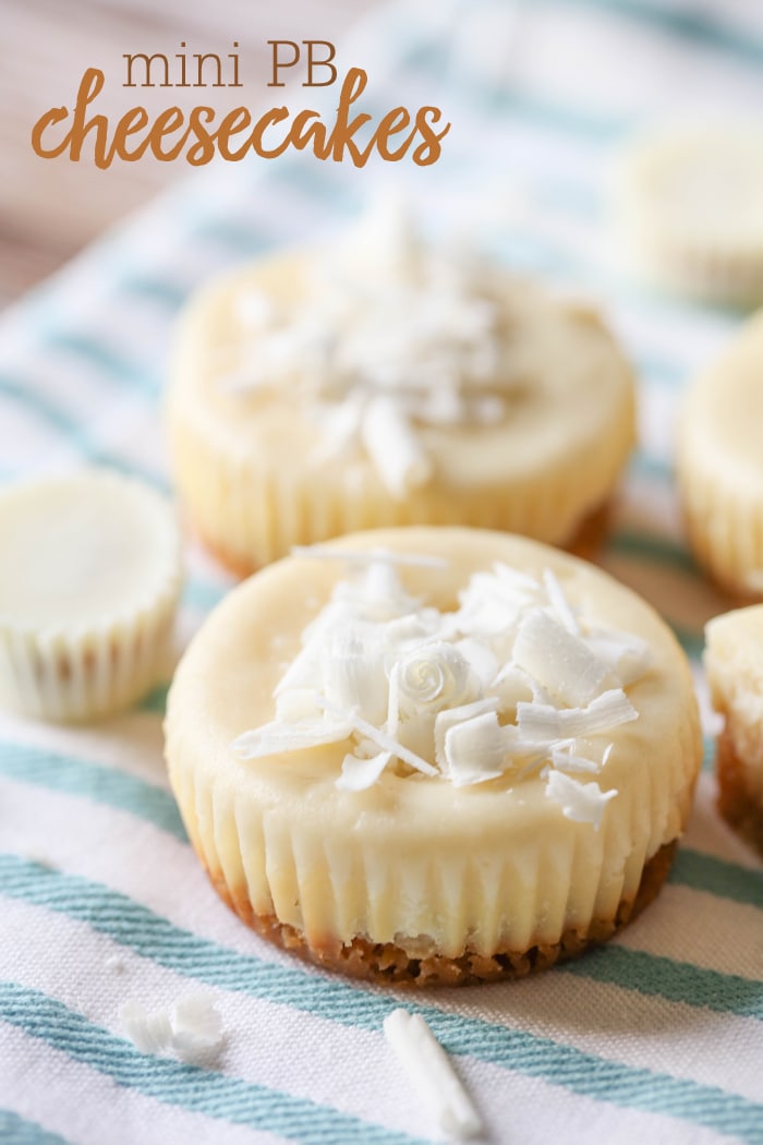 Mini Peanut Butter Cheesecakes on a blue and white cloth