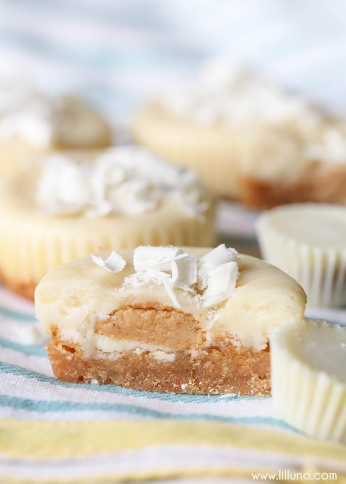 Mini Peanut Butter Cheesecakes close up on a cloth