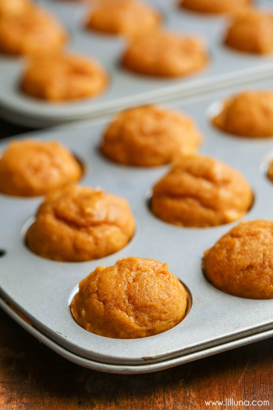 mini pumpkin muffins in a muffin tin
