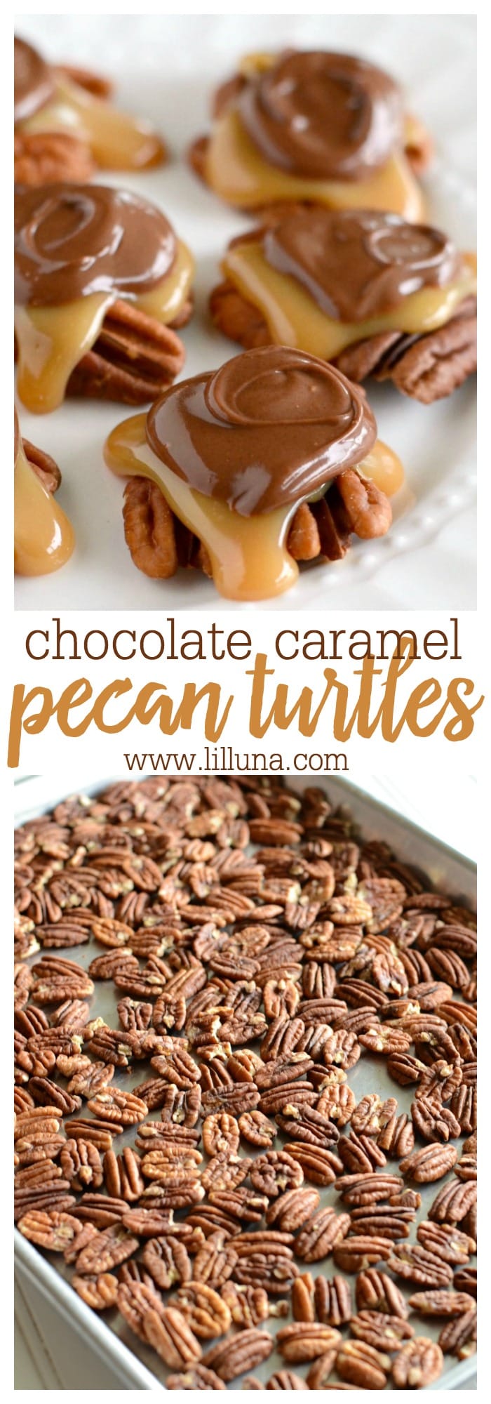 Caramel Pecan Turtle Candy - Creations by Kara