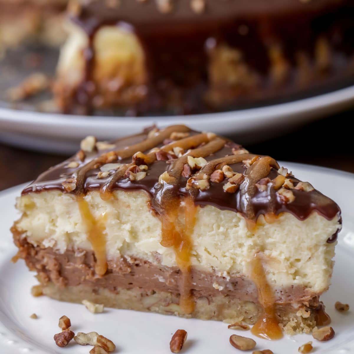 Turtle cheesecake close up on a white plate