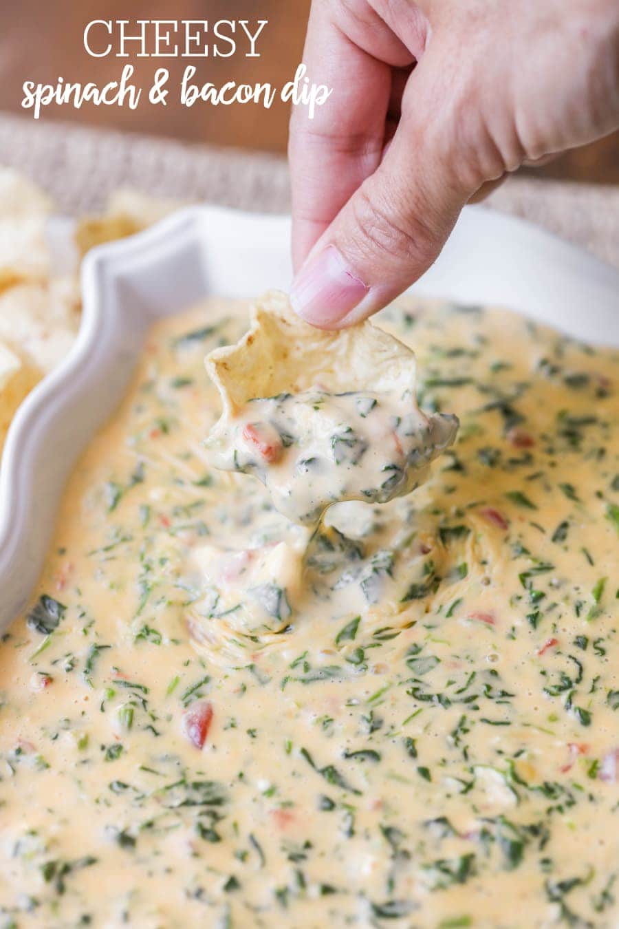 Easy Cheesy Spinach Dip - Lil&amp;#39; Luna