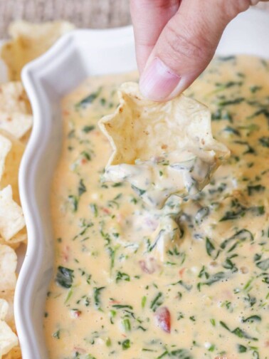 Crockpot Spinach Artichoke Dip Lil Luna