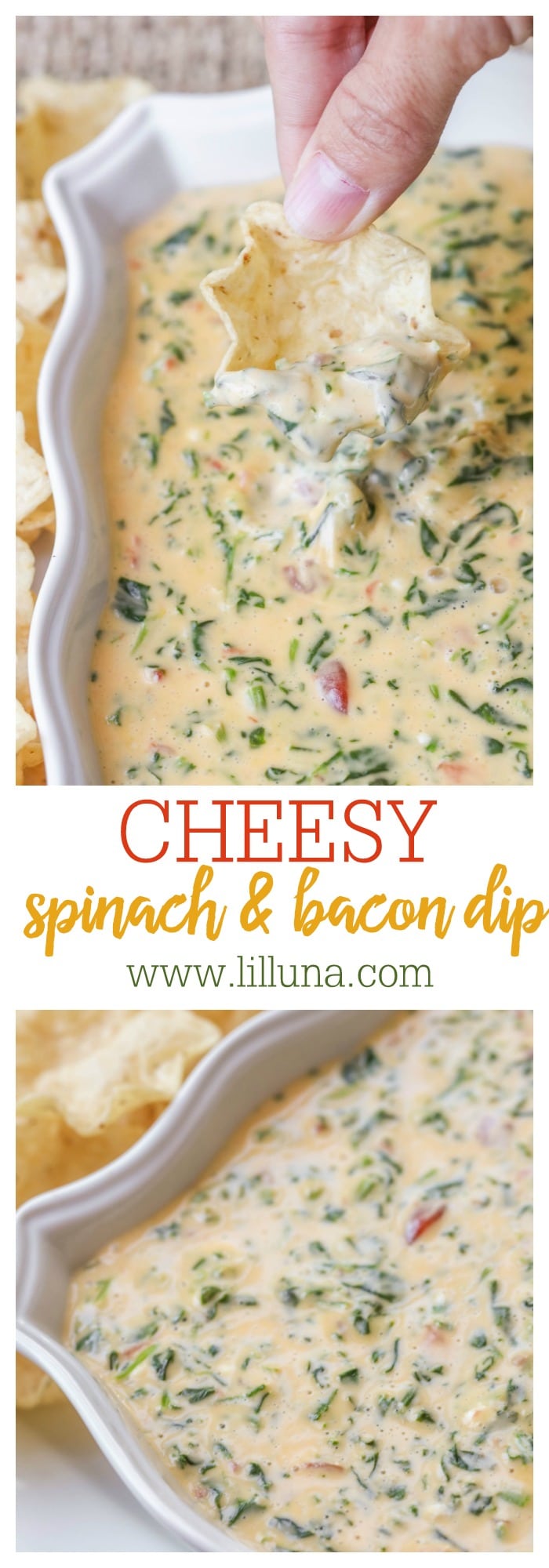 Easy Cheesy Spinach Dip  Lil Luna