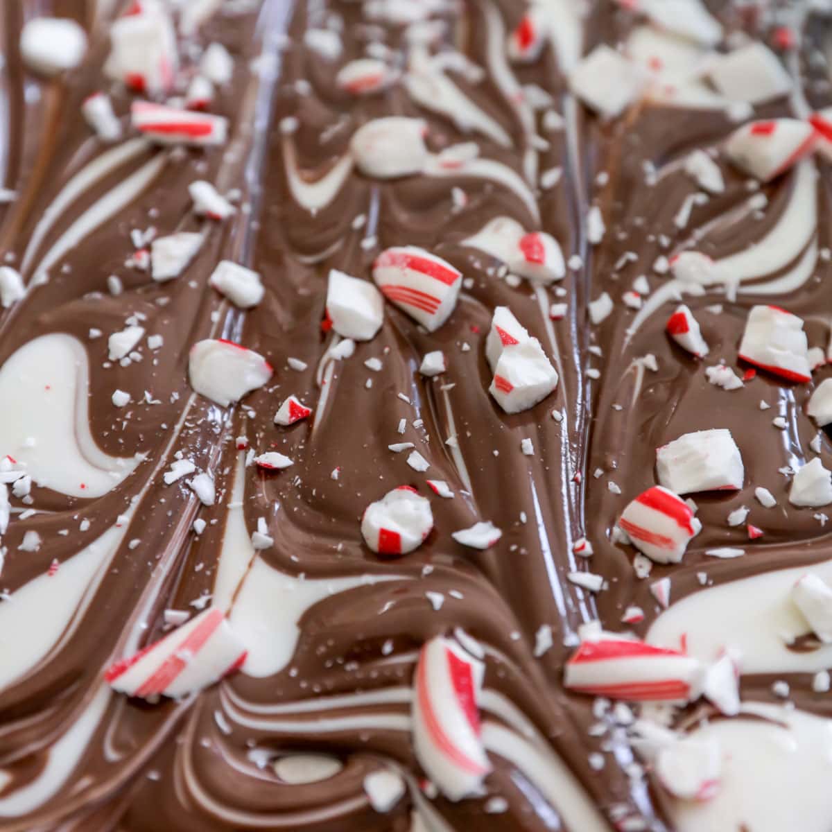 crushed candy canes on top of marbled peppermint bark