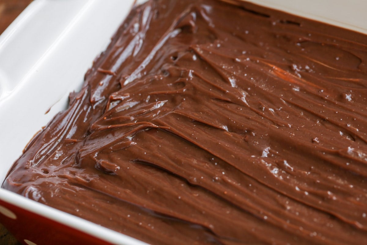 Chocolate layer of peppermint chocolate delight.