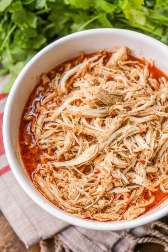 Copycat Cafe Rio Shredded Chicken Recipe Lil Luna copycat-cafe-rio-shredded-chicken-recipe-lil-luna