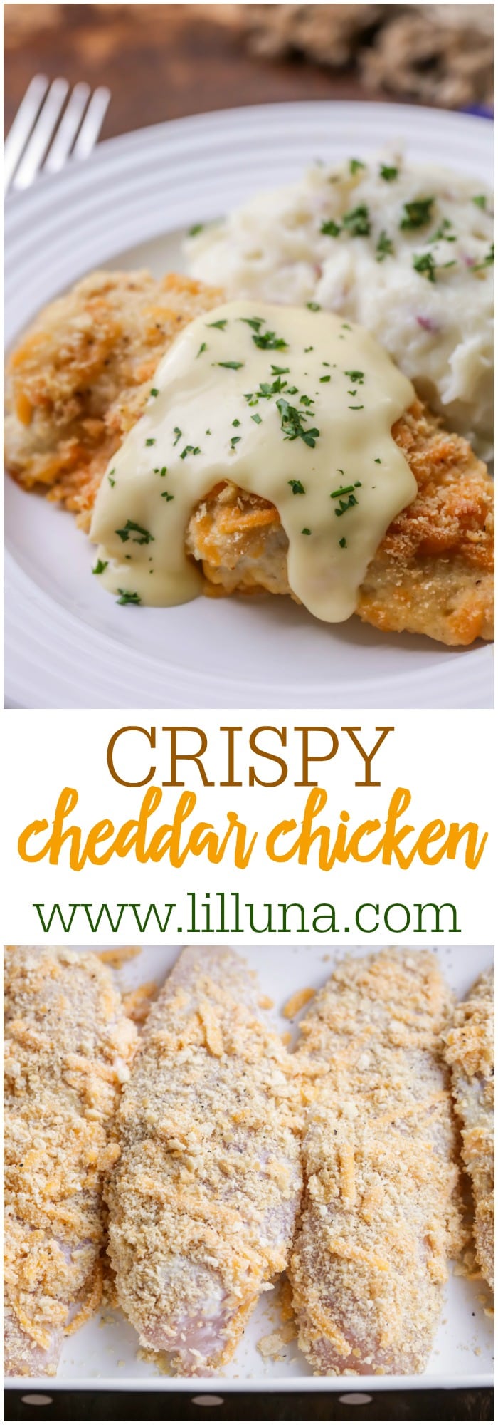 chicken breast with sour cream and ritz crackersimage