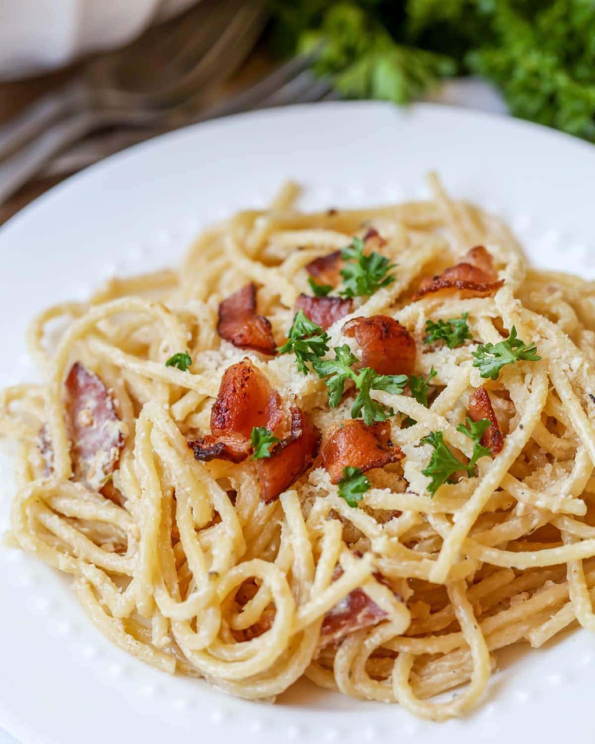 Spaghetti Carbonara topped with bacon and parsely on a white plate