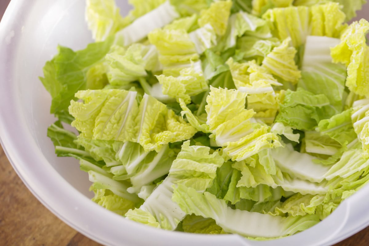 Napa cabbage cut up in bowl