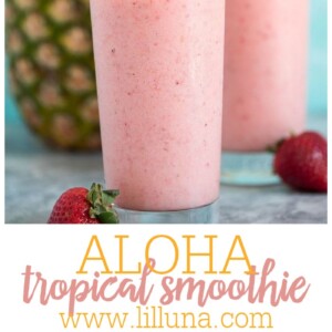 Aloha Tropical Smoothie Strawberry Pineapple Paradise Lil Luna