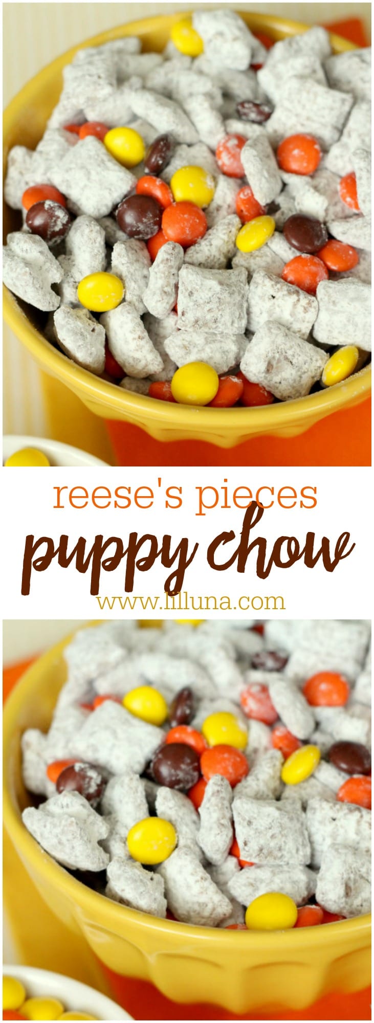 Reeses Pieces Puppy Chow