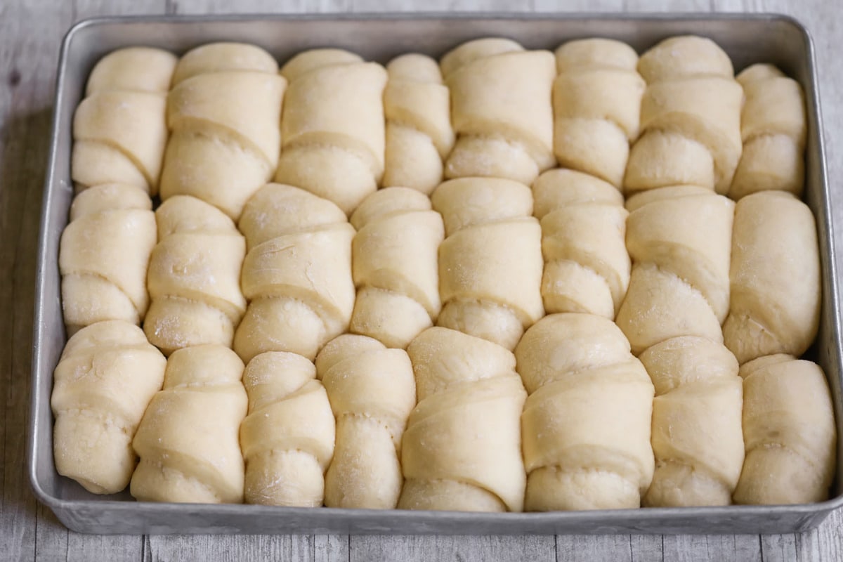 Dinner Roll Recipe