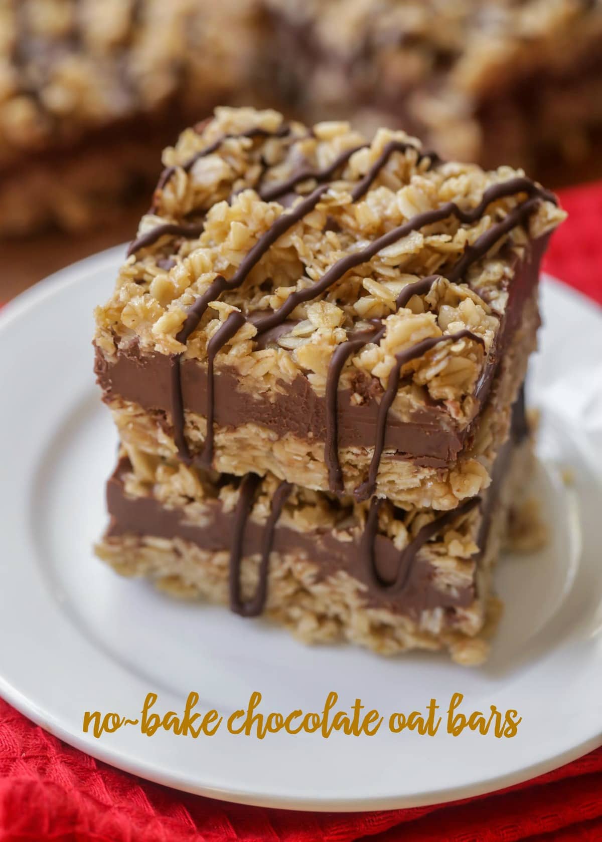No Bake Oatmeal Bars with Peanut Butter Coconut 47 OFF