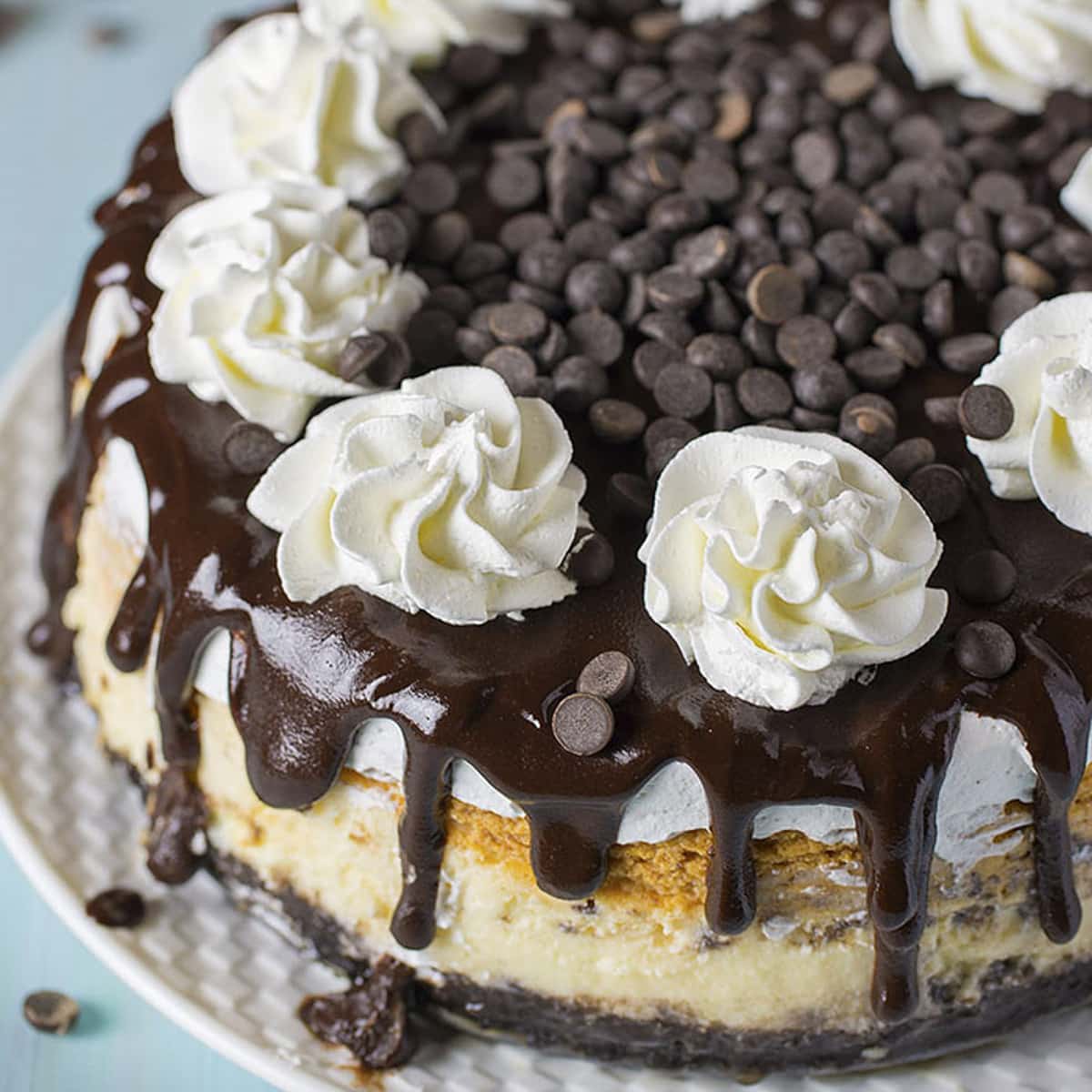 Pumpkin Recipes - Double layer pumpkin cheesecake topped with a chocolate ganache, chocolate chips, and whipped cream.