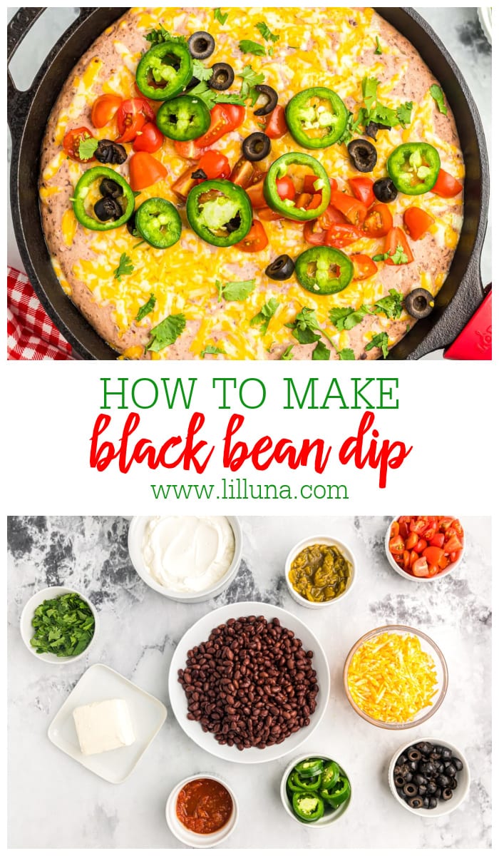 Easy Black Bean Dip Recipe | Lil' Luna