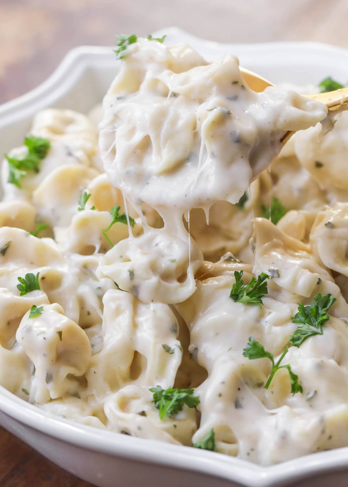 Favorite Tortellini Pasta in a white bowl