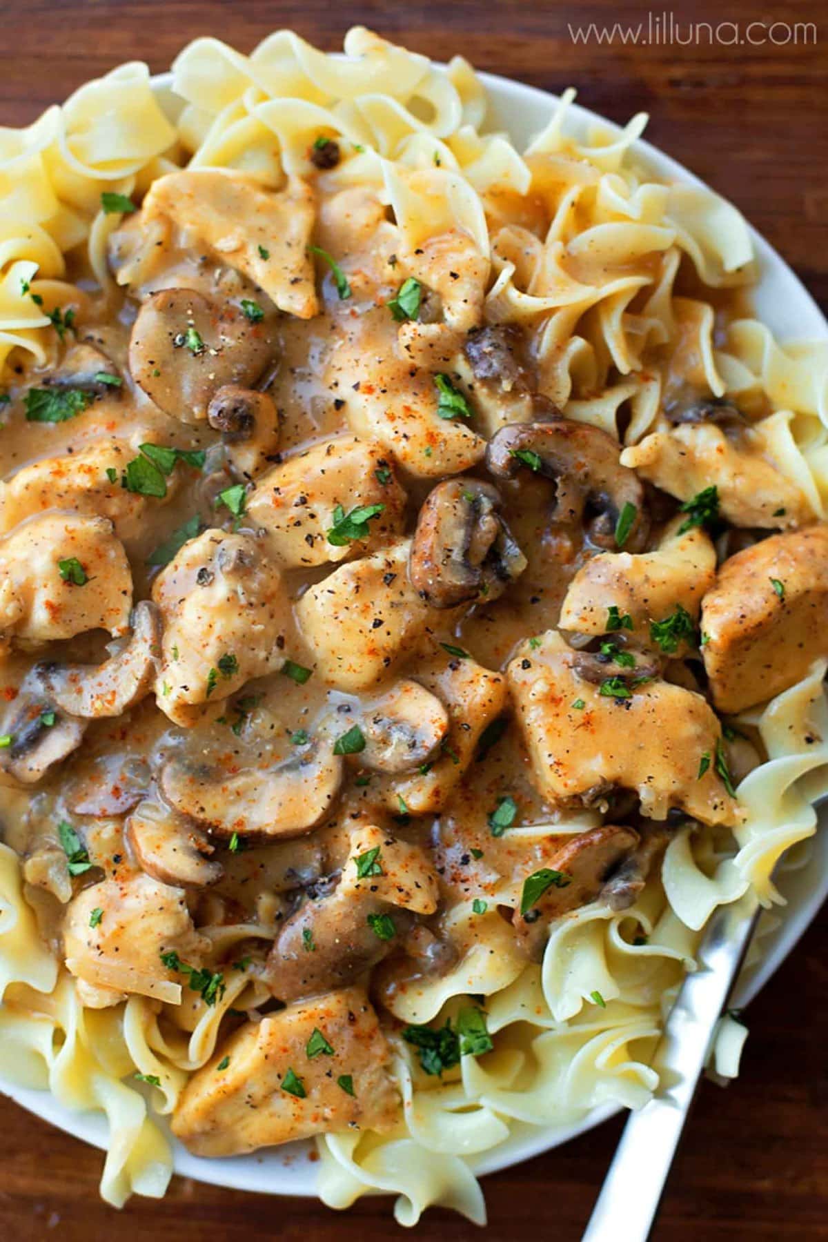 Easy Chicken Stroganoff on top of egg noodles in a white bowl