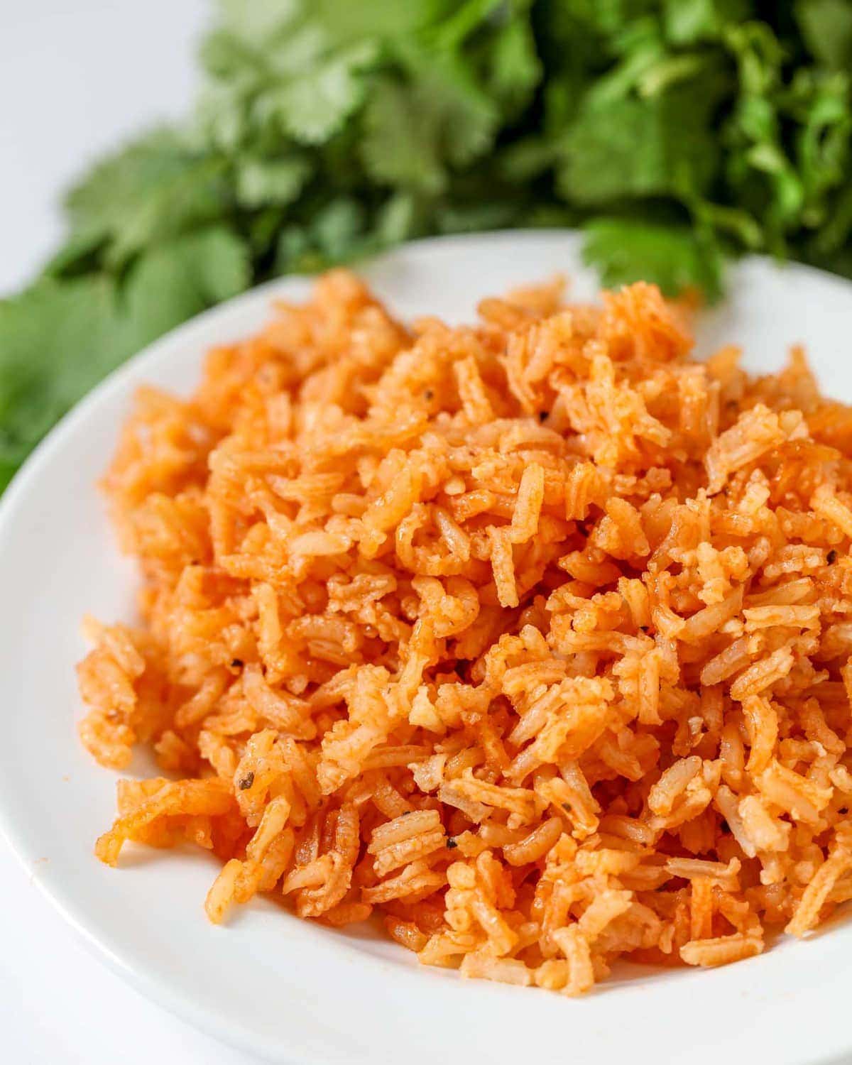 Restaurant-Style Spanish Rice Recipe (Mexican Rice) +VIDEO | Lil' Luna