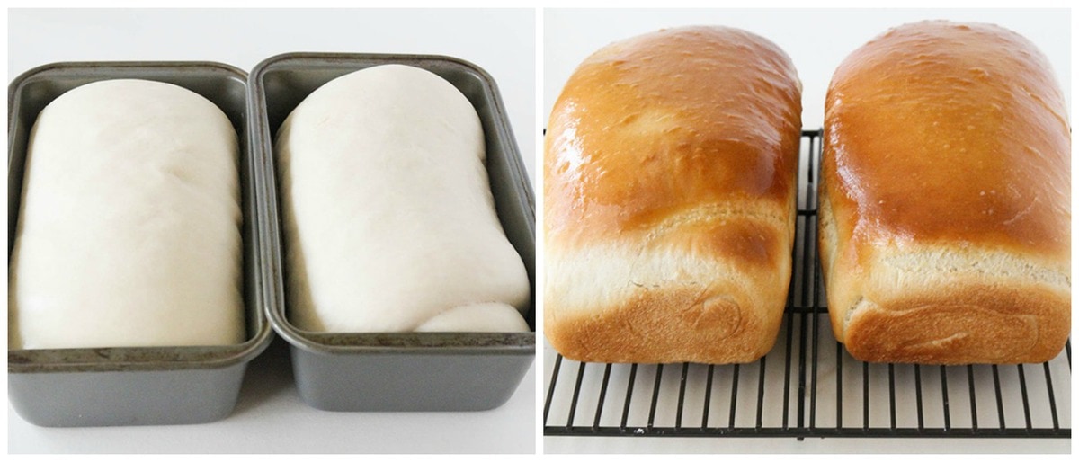 Homemade Bread Recipe