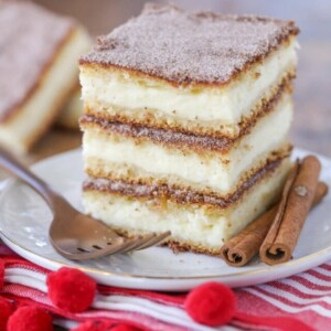 cropped-churro-cheesecake-bars-resize-13.jpg