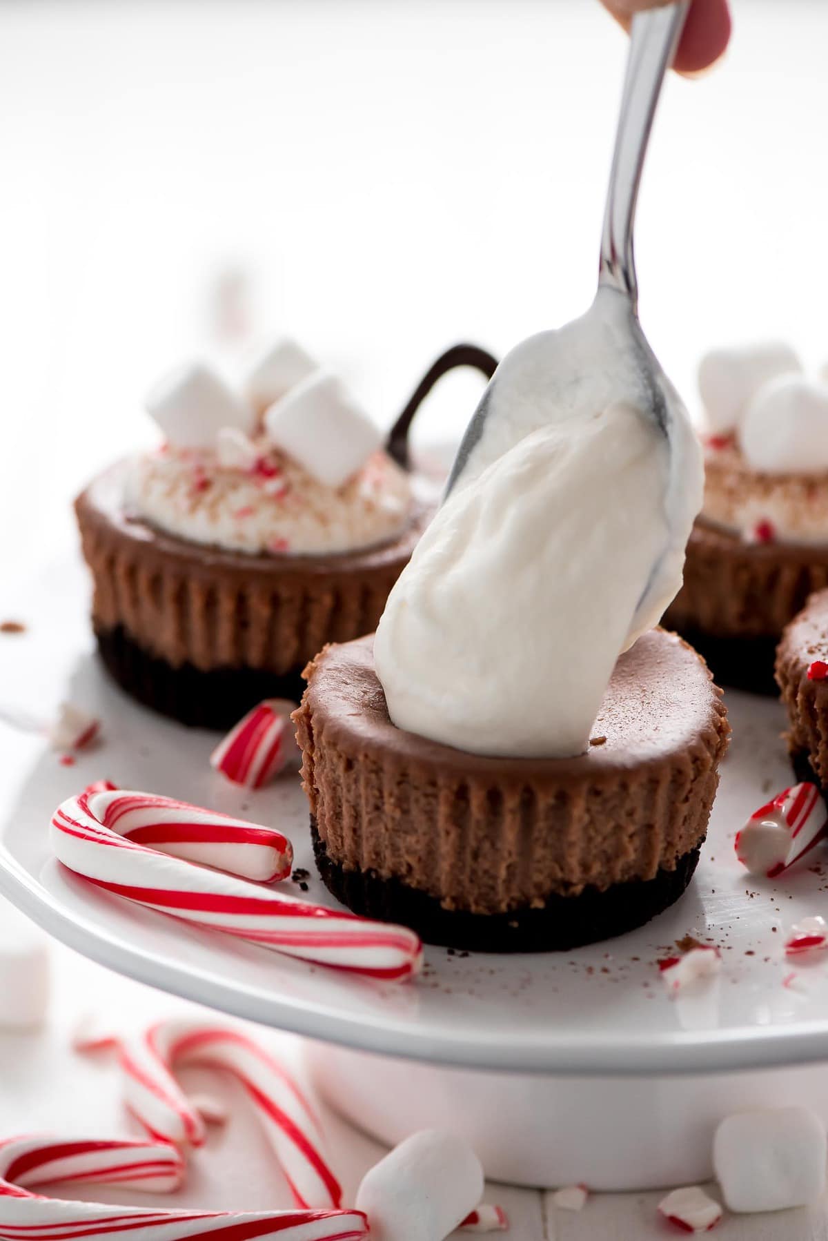 Hot Cocoa Mini Cheesecakes  Lil Luna