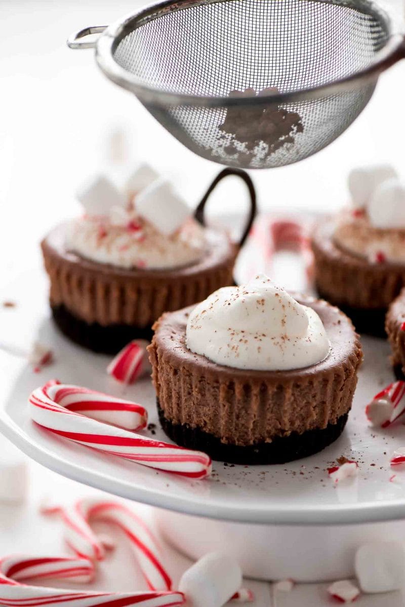 Hot Cocoa Mini Cheesecakes Lil Luna 