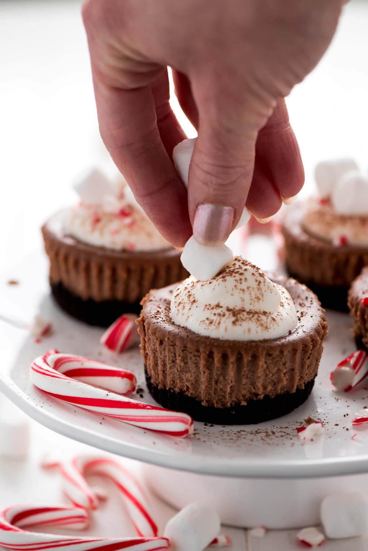 Hot Cocoa Mini Cheesecakes  Lil Luna