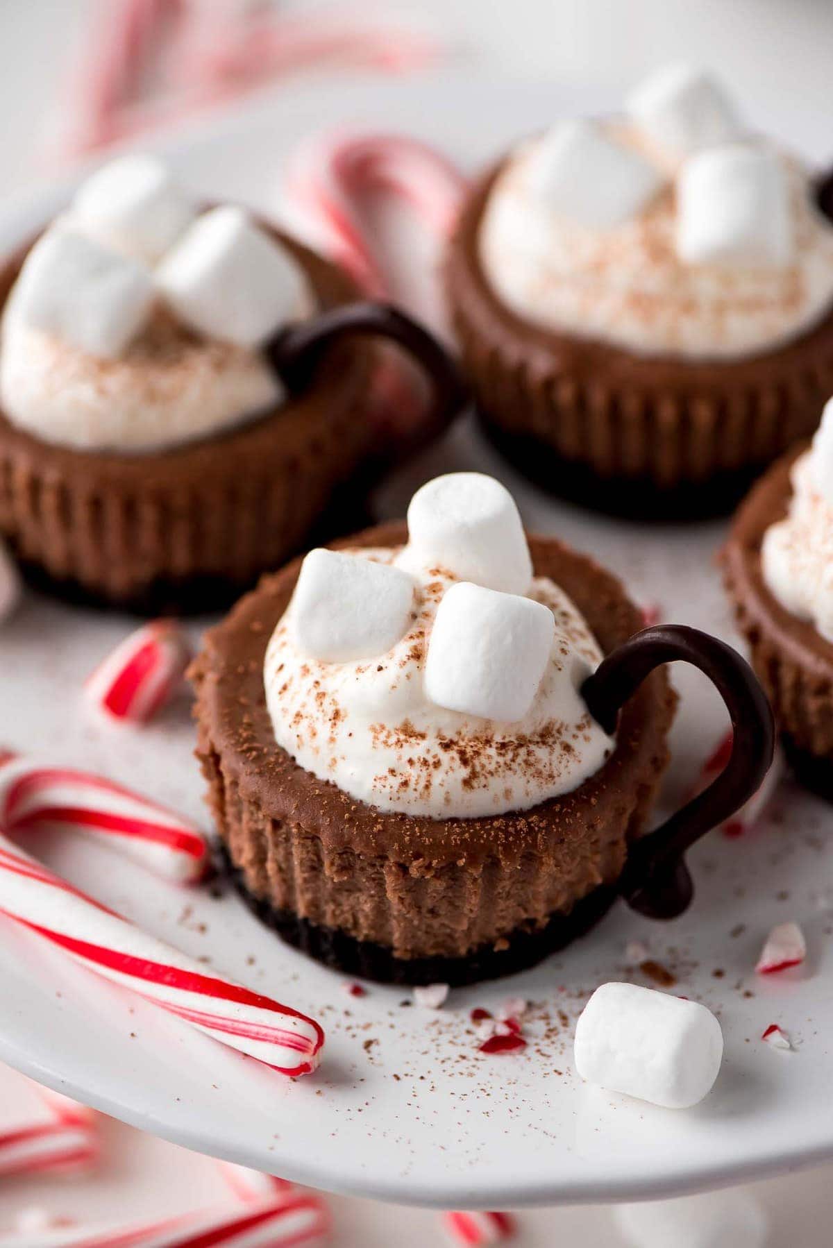 Hot Cocoa Mini Cheesecakes  Lil Luna