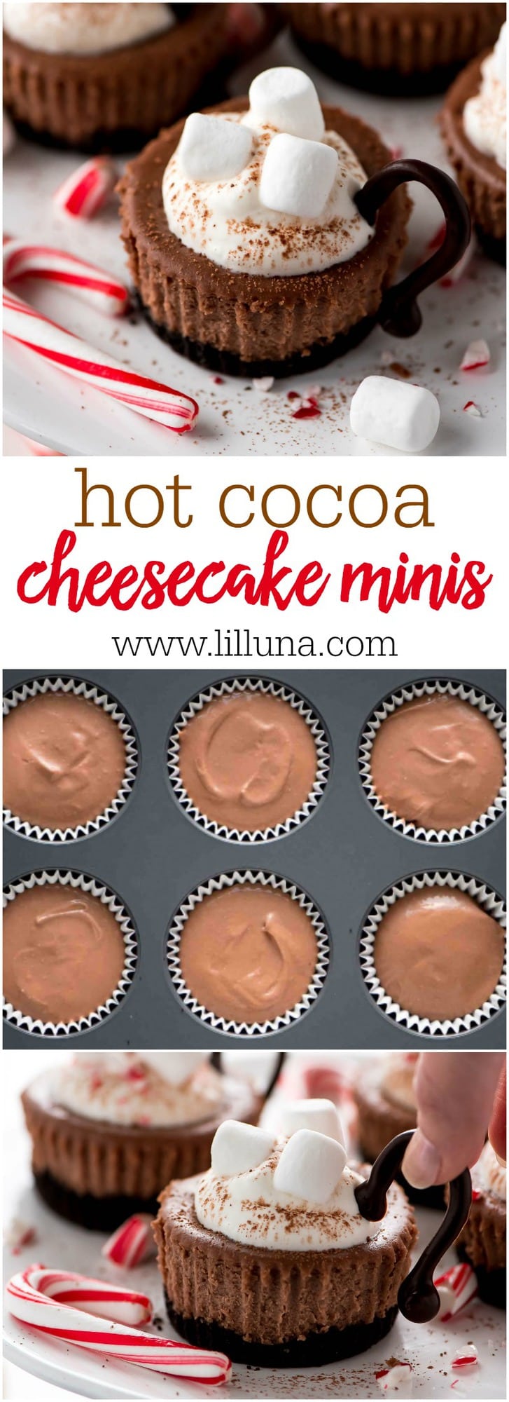 Hot Cocoa Mini Cheesecakes  Lil Luna