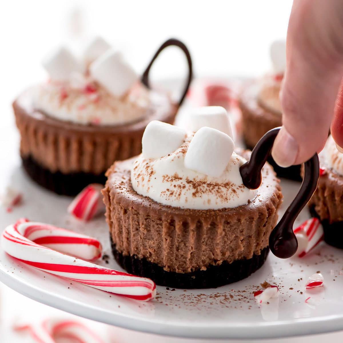 hot cocoa cheesecake minis with a chocolate handle