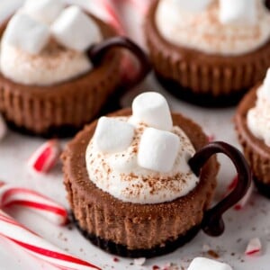 Hot cocoa cheesecake minis topped with marshmallows.