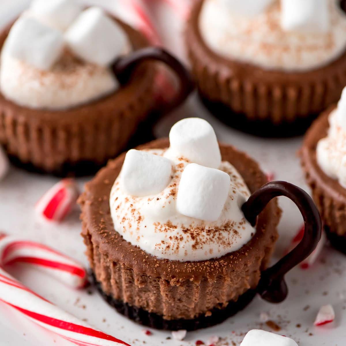 hot cocoa cheesecake minis topped with marshmallows and whipped cream