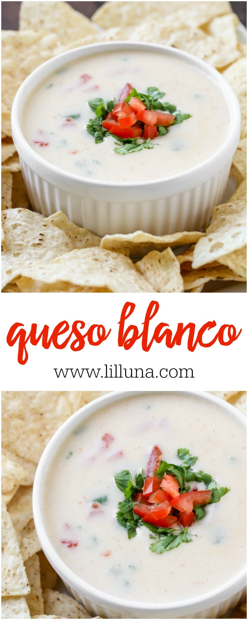 BEST Queso Blanco  Lil' Luna