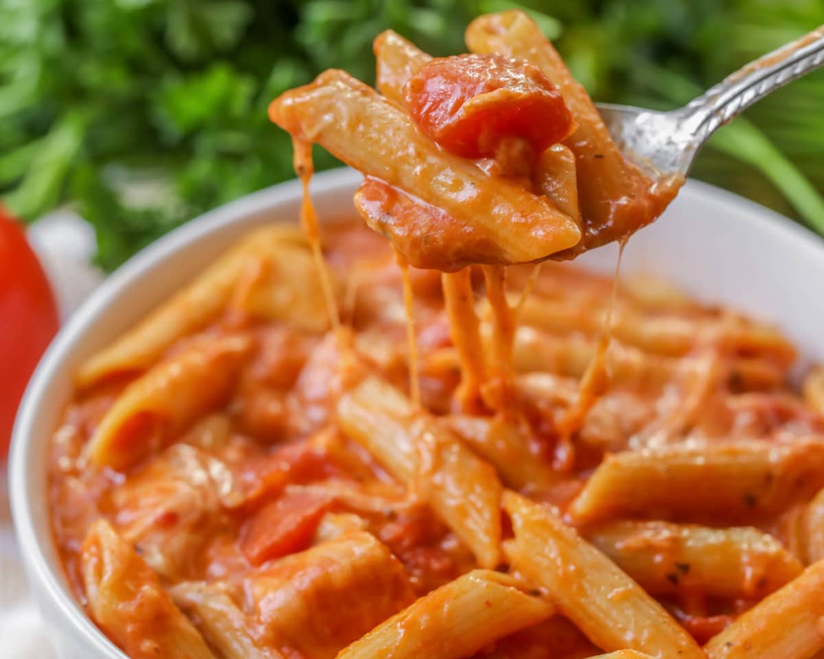 Chicken soup recipes - scoop of cheesy chicken parmesan soup.