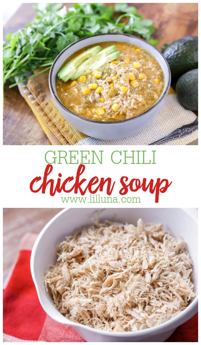 Green Chili Chicken Soup {Crock Pot Recipe} – Lil’ Luna