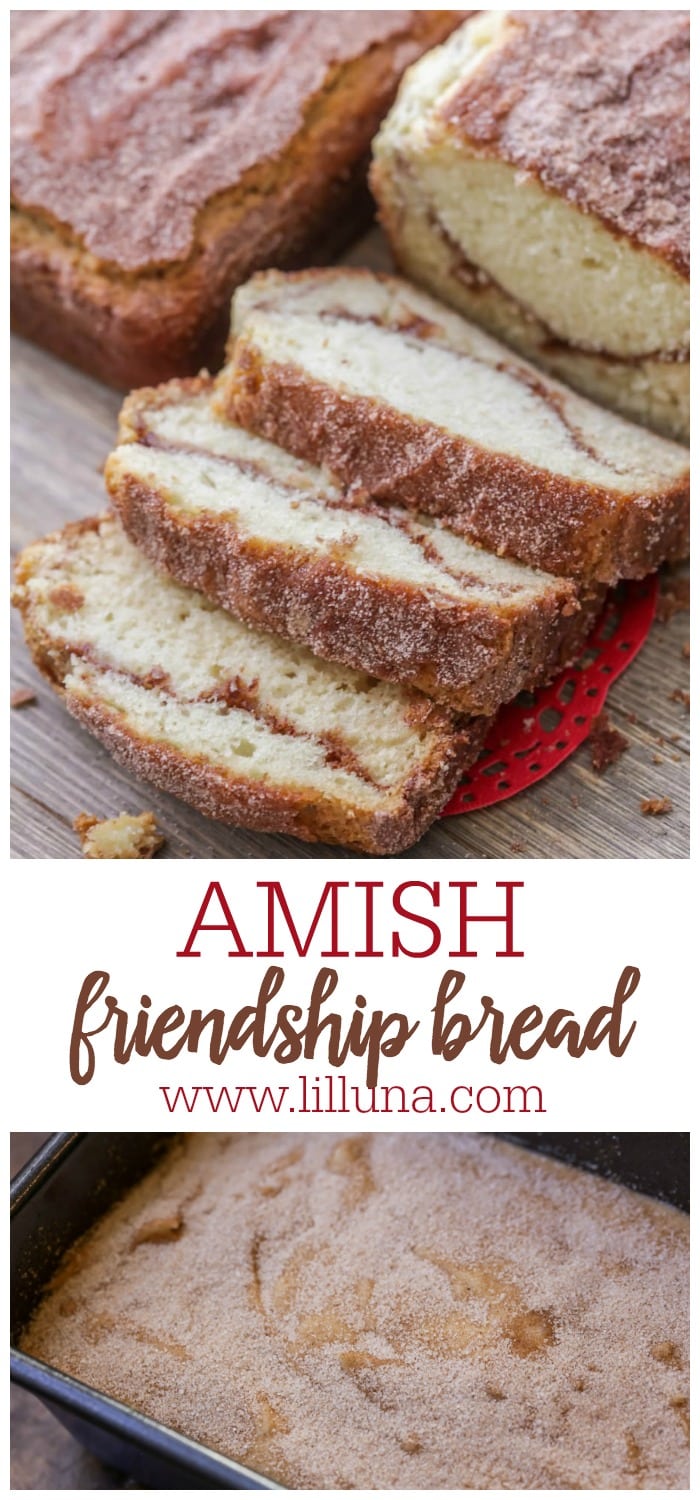 Amish Friendship Bread {No Starter Required!} + VIDEO Lil' Luna
