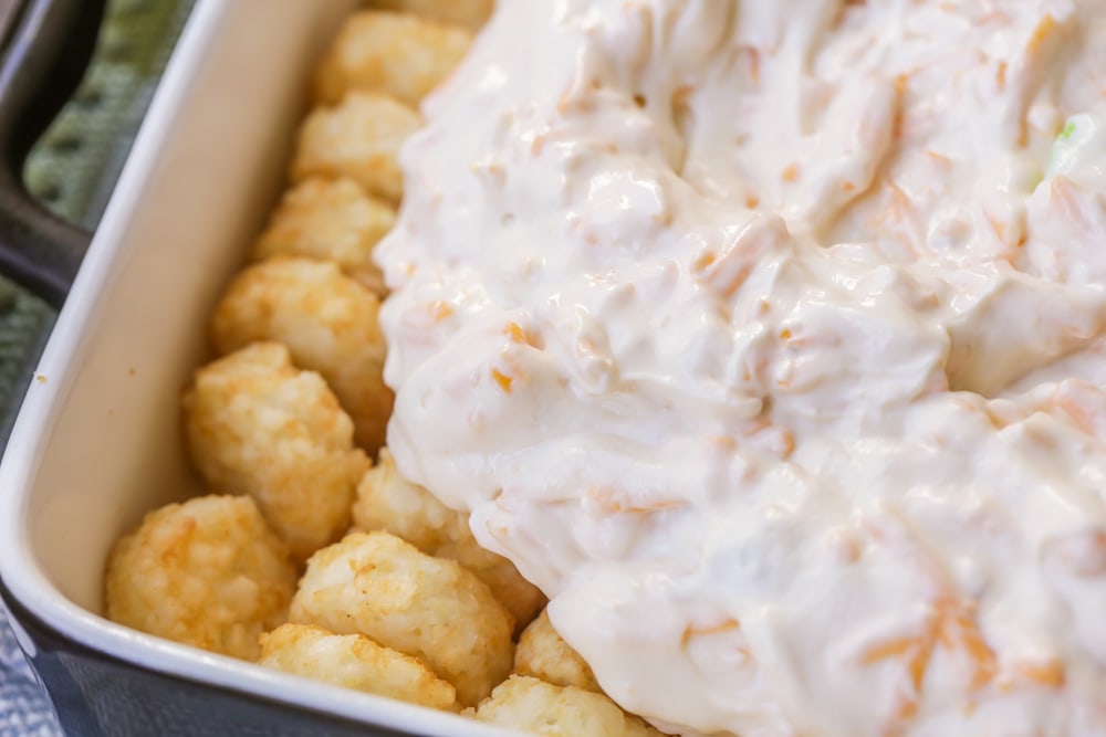 best tater tot casserole with sour cream