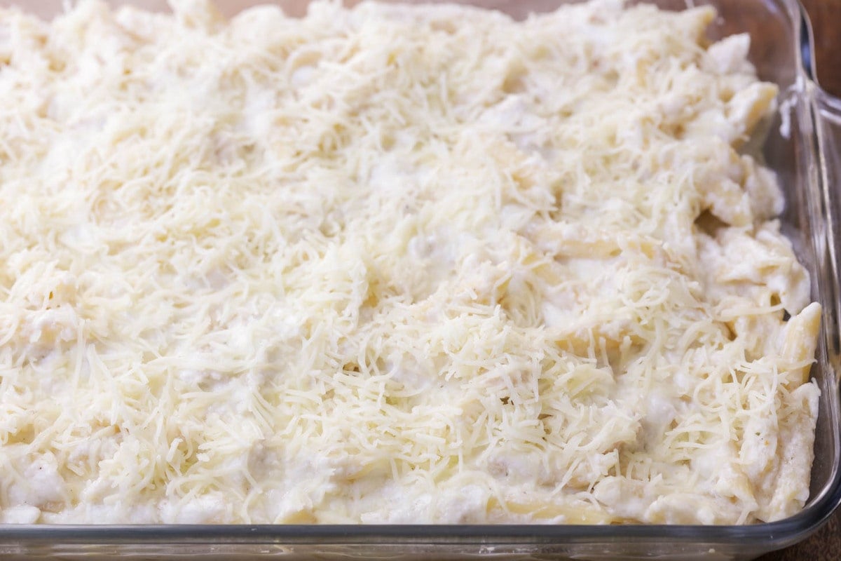 Baked chicken Alfredo casserole in a baking dish ready for cooking.
