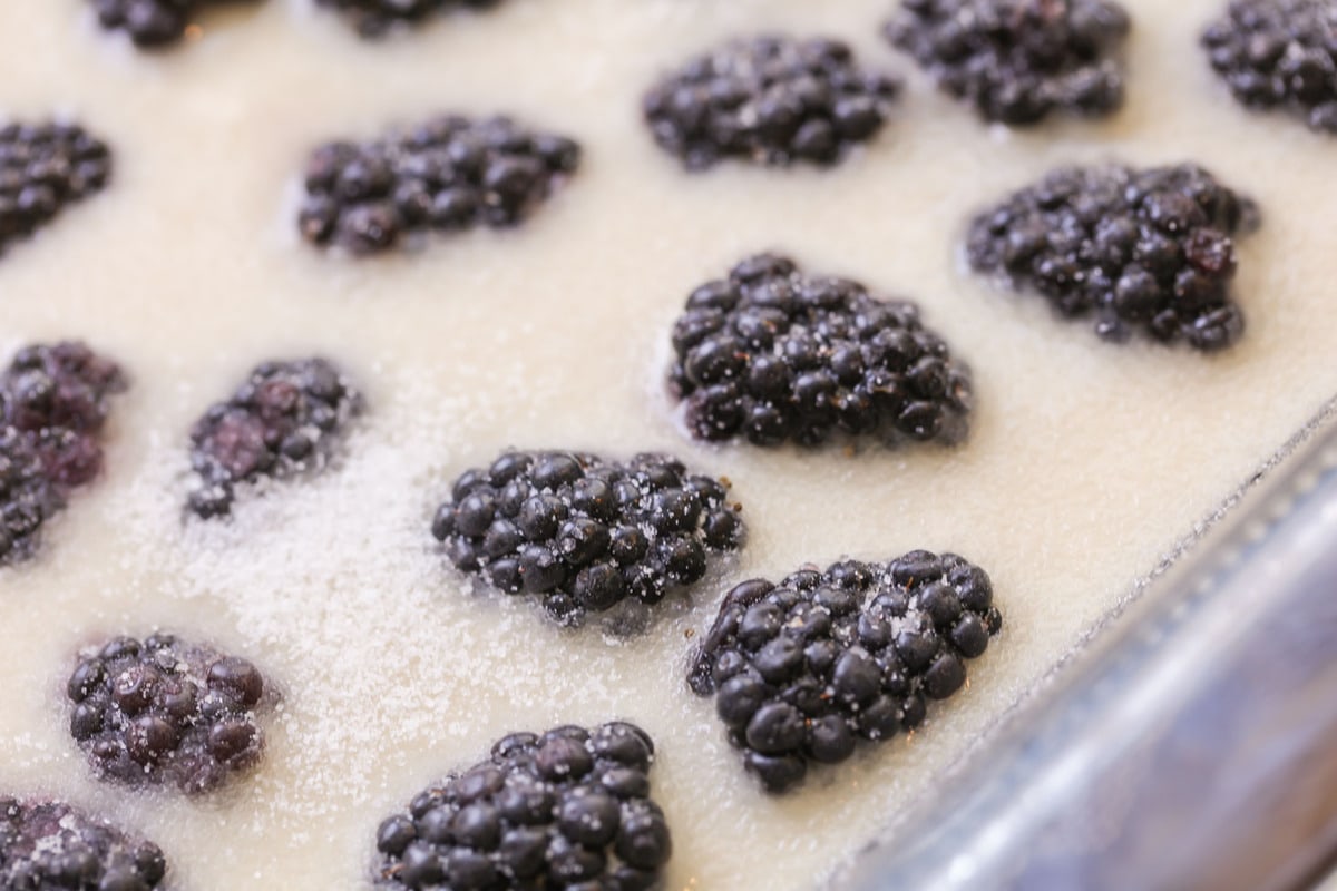 Fresh blackberries in uncooked blackberry cobbler mixture in a casserole dish