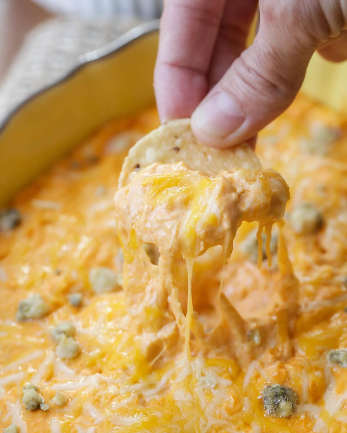 Close up of buffalo chicken dip being scooped on a tortilla chip.